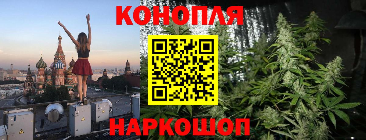 Конопля семена  Вход с VPN  Шишки марихуана план  Сунжа  Бошки марихуана сатива  Бошки марихуана SATIVA & INDICA 